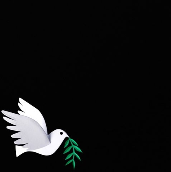 Meet your Posher, Cynthia - Picture 1 of 1